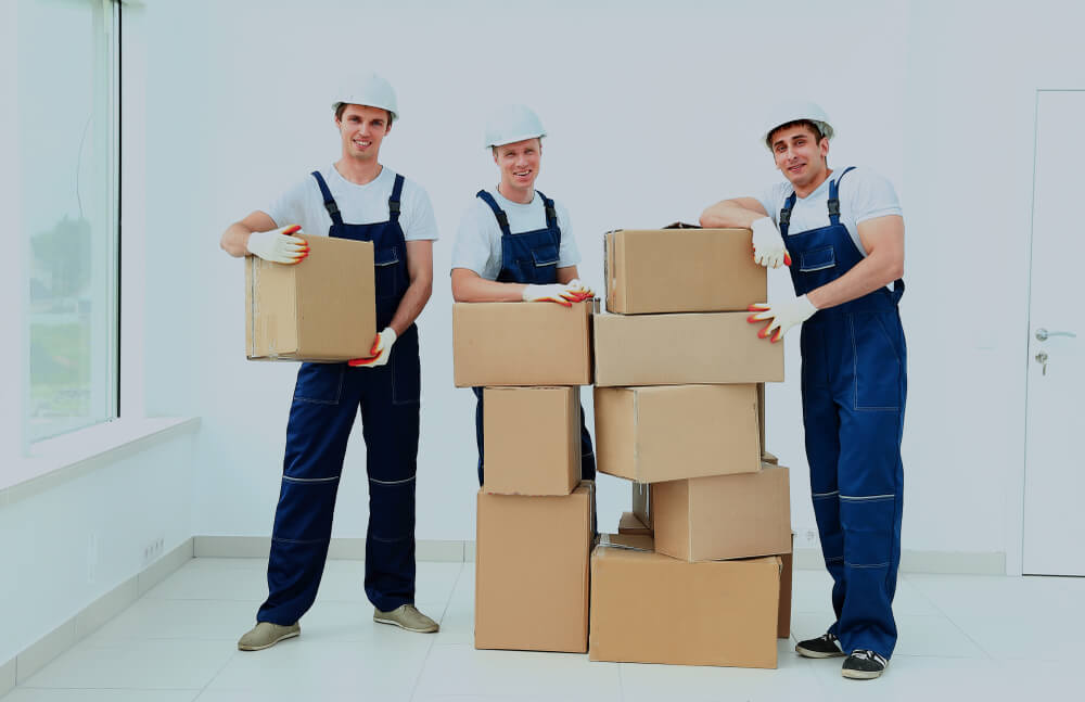 Apartment Moving Services Wellington