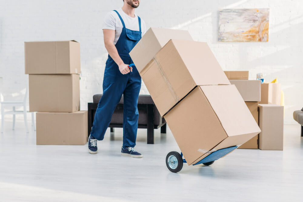 Professional Movers Chester County