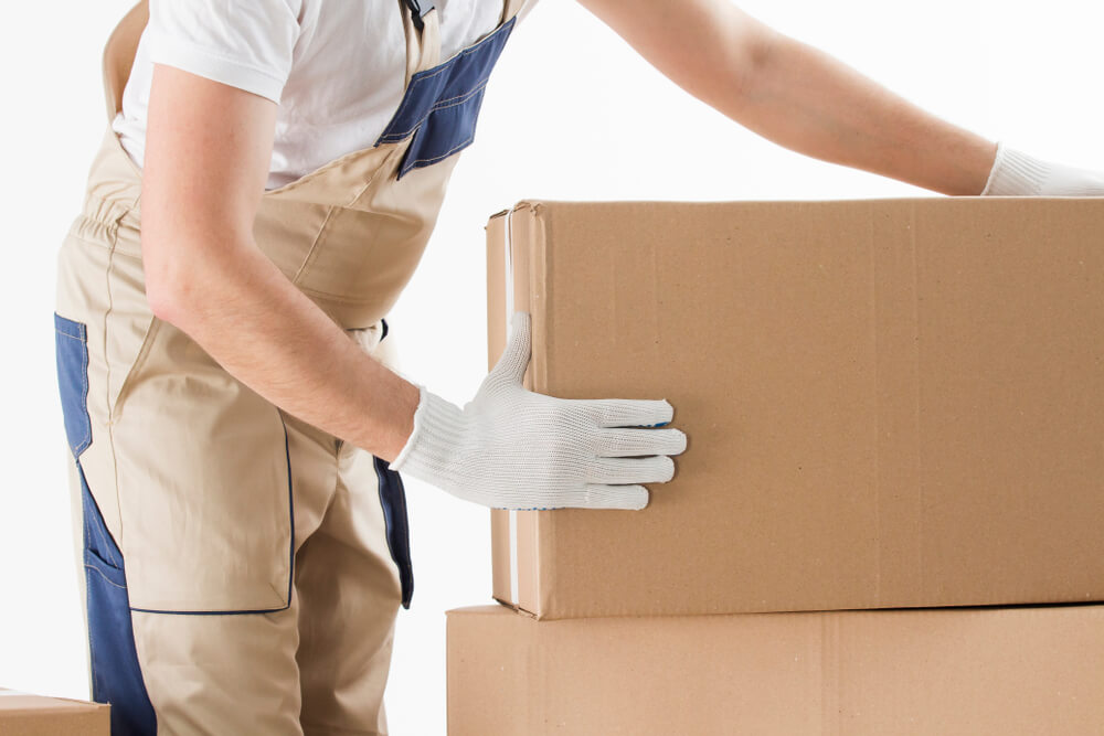 Top-rated Movers Wellington