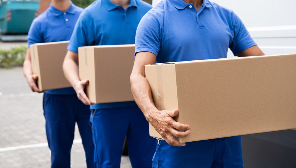 Packing And Moving Services In Trilby Fl